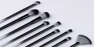 2024 European Makeup Brush Market Trends and Insights