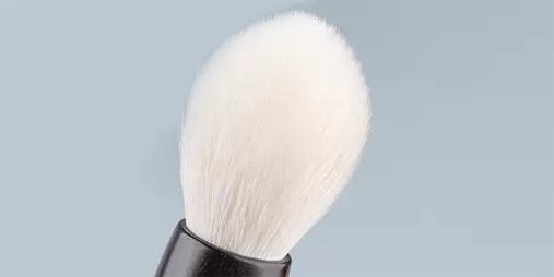 Which Animal Hair is Best for Makeup Brushes?